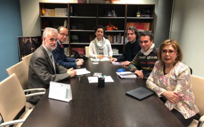 AFAMID Y LOS REPRESENTANTES DE PROFEMADERA SE REUNEN CON LA DIRECTORA GENERAL DE FORMACIÓN PROFESIONAL DE LA COMUNIDAD DE MADRID.