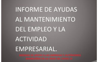 Medidas para el mantenimiento del empleo y la actividad empresarial 2020